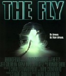 the-fly